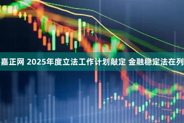 嘉正网 2025年度立法工作计划敲定 金融稳定法在列