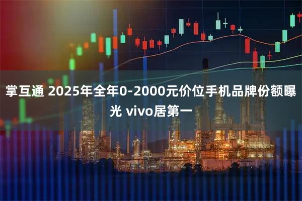 掌互通 2025年全年0-2000元价位手机品牌份额曝光 vivo居第一